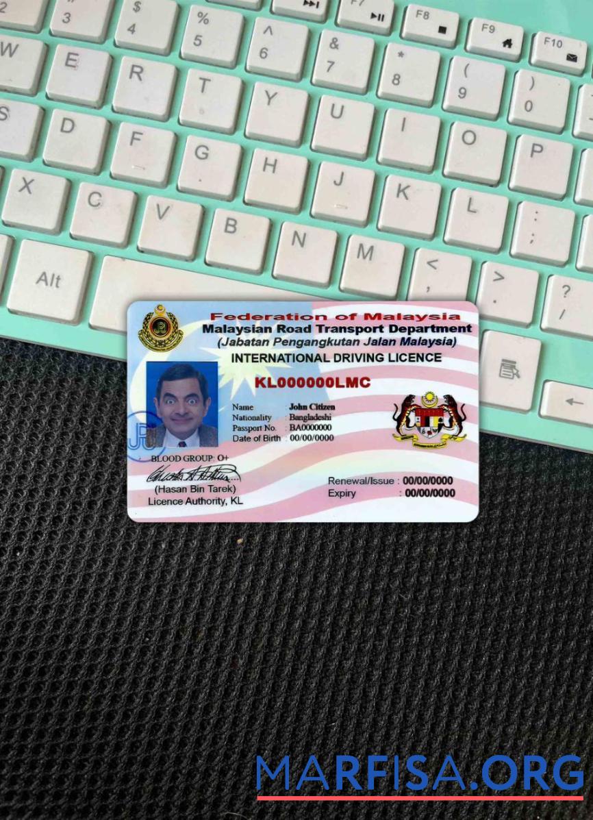 Realistic Malaysia driving license version 2 photolook download for verification